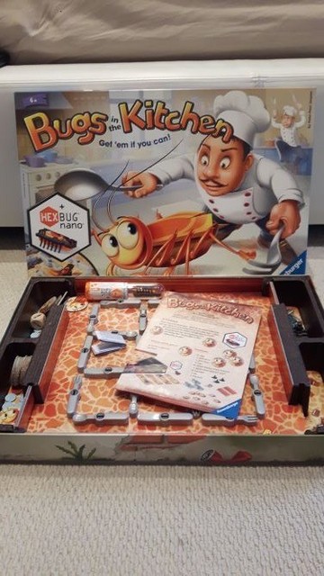 hexbug bugs in the kitchen